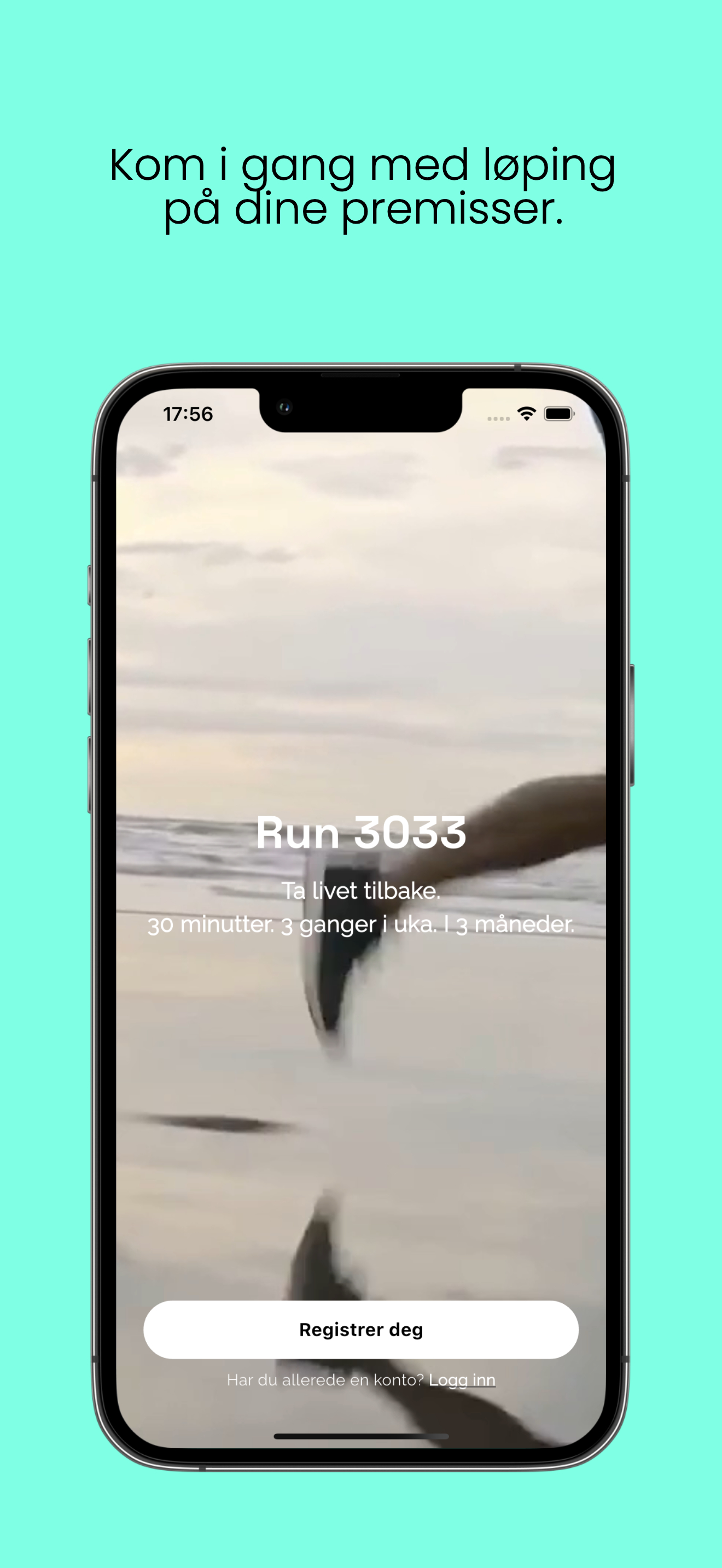 Run 3033