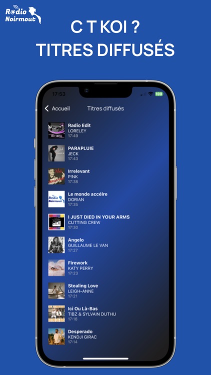 Radio Noirmout screenshot-4