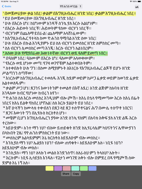 Amharic Bible iPad screenshot 2 - Book app