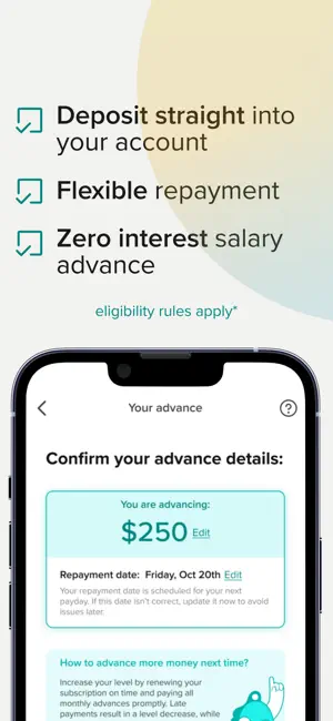 OneBlinc Cash Advance screenshot 4