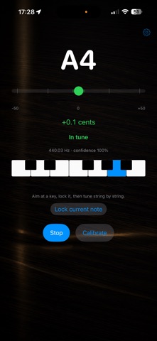 Another Piano Tuner Screenshot 1 of 6