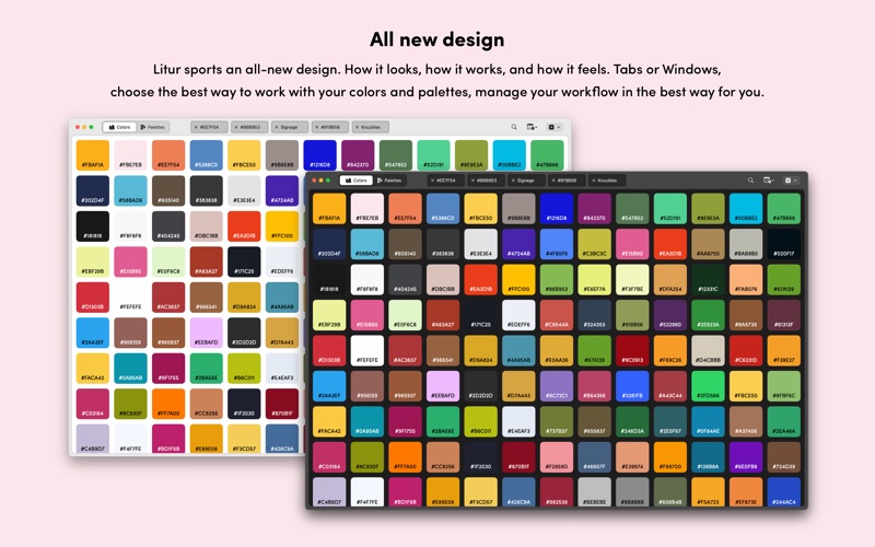 Screenshot #1 pour Litur - Color Manager