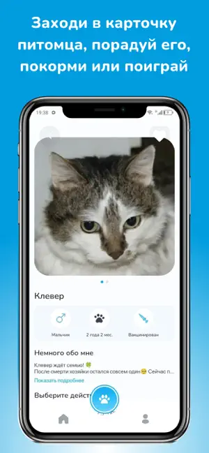 frozen pets iPhone screenshot 1
