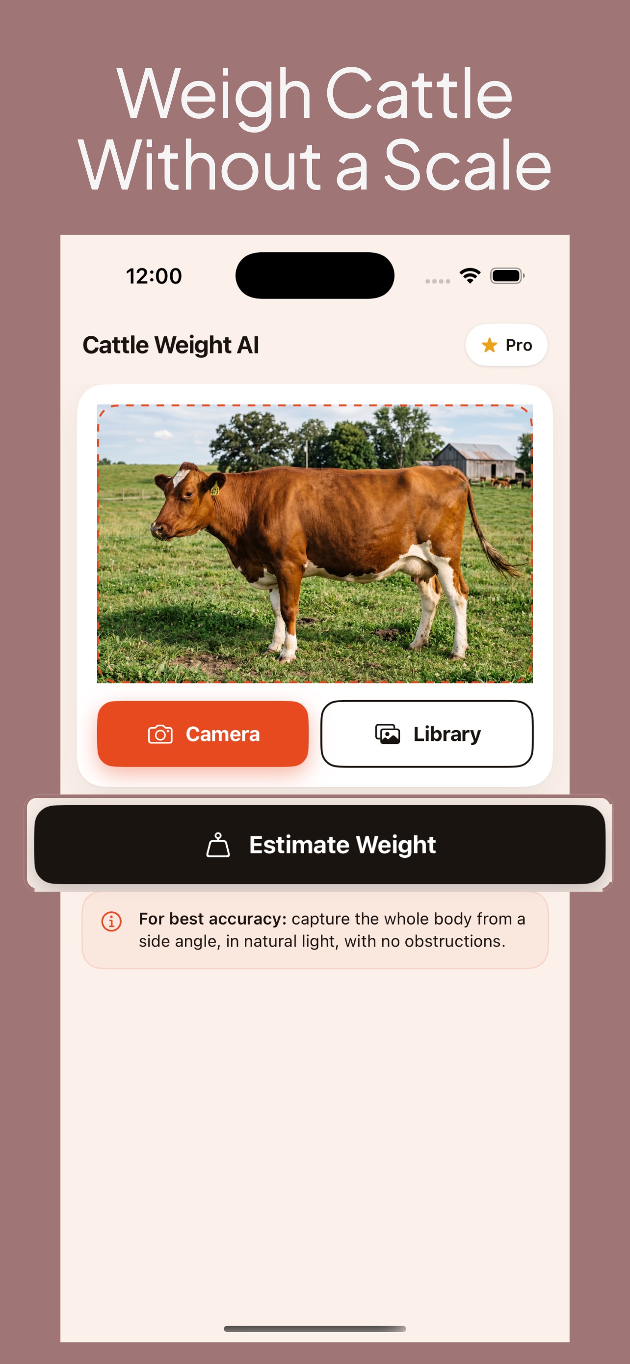 Screenshot 1 of Cattle Weight AI