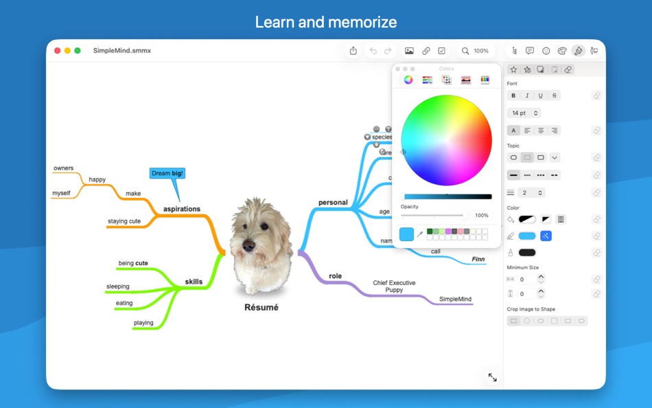 #2. SimpleMind − Mind Mapping (macOS) di: ModelMaker Tools BV