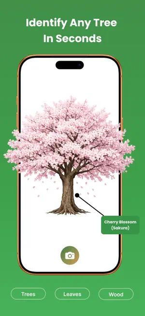 Tree Identifier: Wood & Leaf screenshot 1