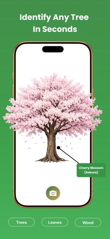 Tree Identifier: Wood & Leaf screenshot