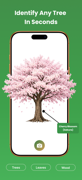 Tree Identifier: Wood & Leaf Screenshot 1 of 5