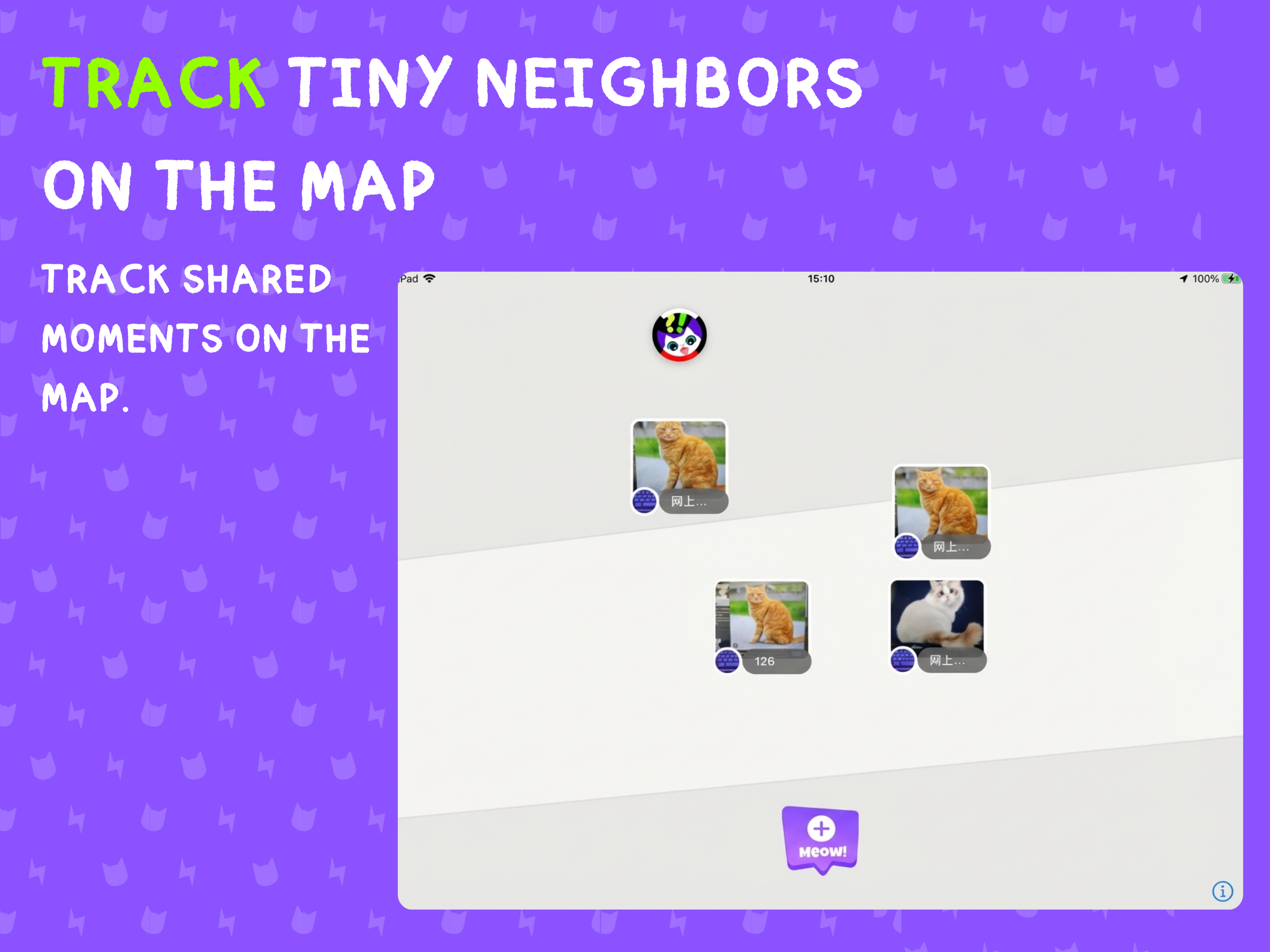 Mewt - Purrfect Map