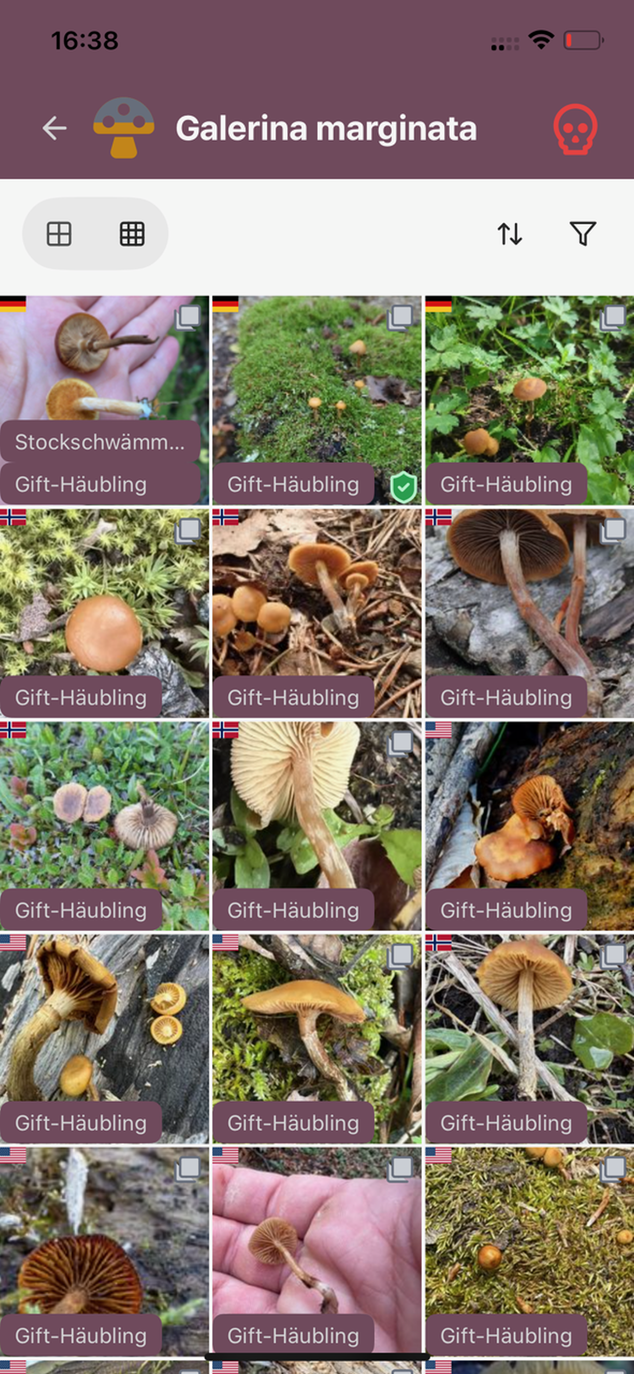 Mushpits - Locate your fungi