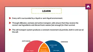 Diffusion and osmosis screenshot 2