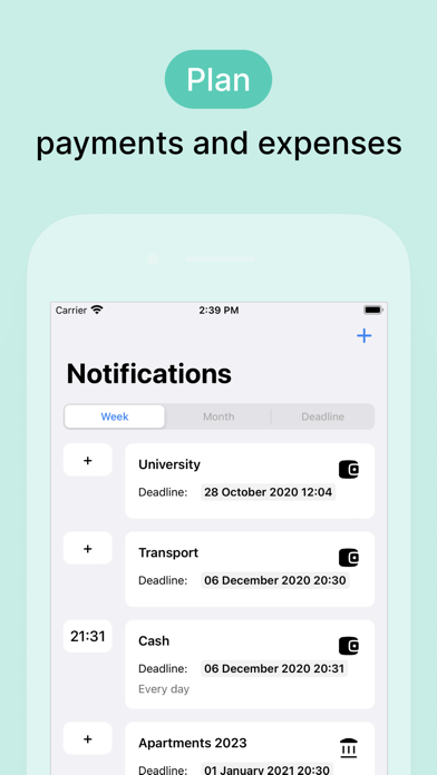 Budget: expenses and income Screenshot