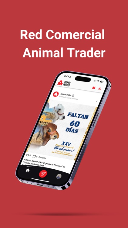 Animal Trader Red Comercial