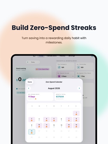 Spent Today: Expense Tracker iPad screenshot