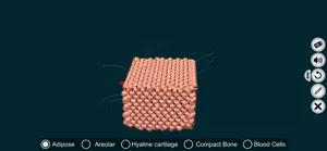 Connective Tissues-EduTech Era screenshot 1