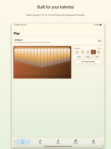 Kalimba Studio: Tuner & Tabs iPad screenshot