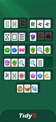 Tidy X iPhone screenshot