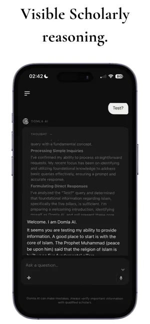 Domla - Islamic AI screenshot 3