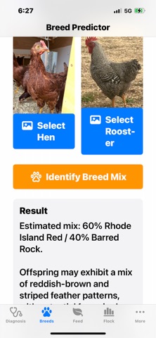 CluckDoc screenshot