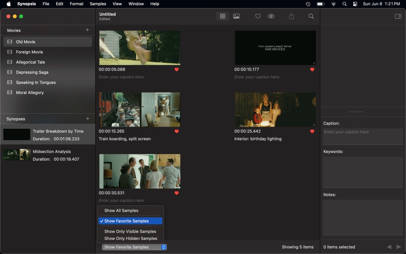 Synopsis MV screenshot