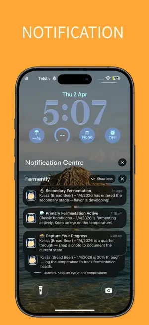Fermently screenshot 3