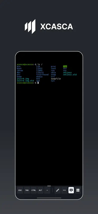 Xcasca screenshot 1