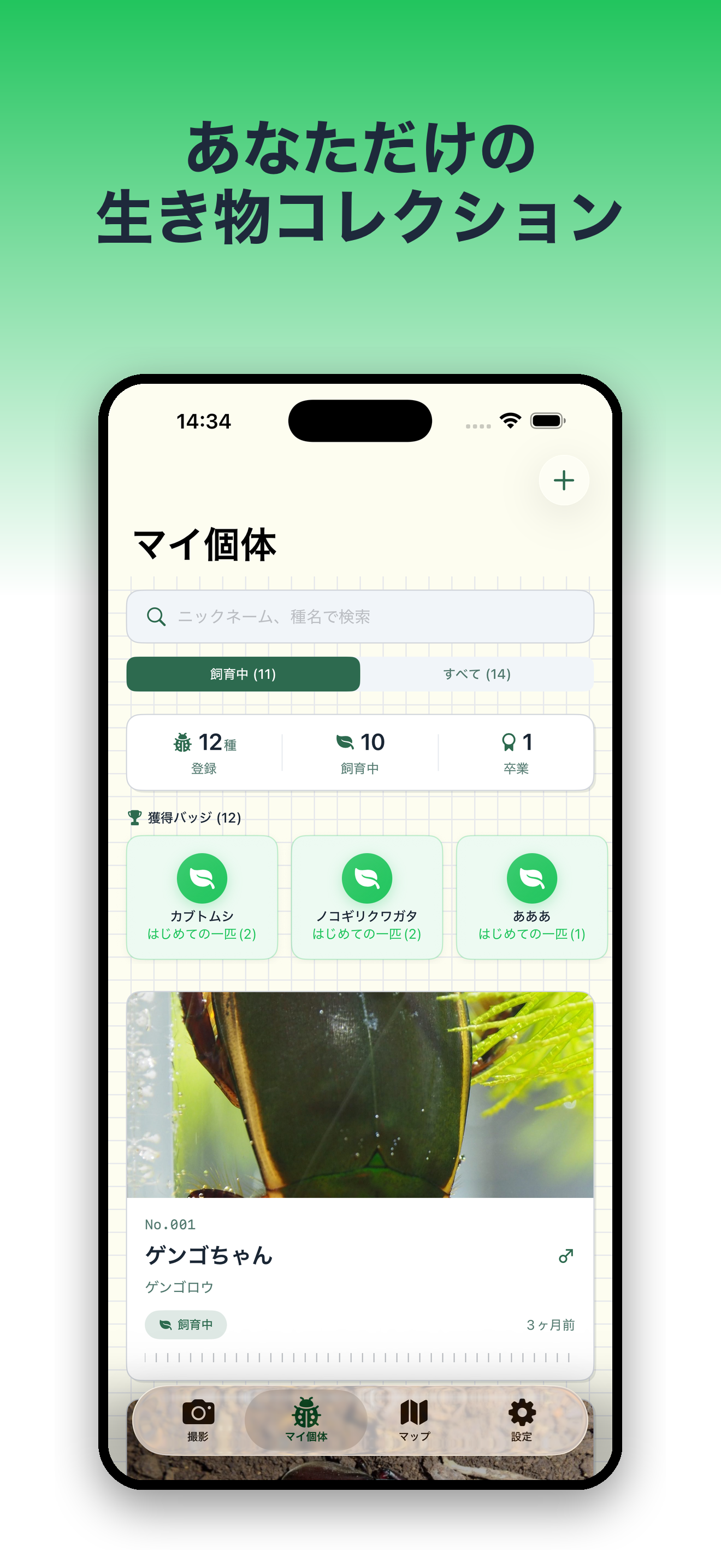mitsuketa 昆虫・生き物の採集&飼育記録 screenshot 6