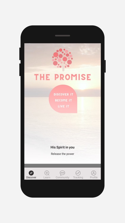 The Promise Coaching