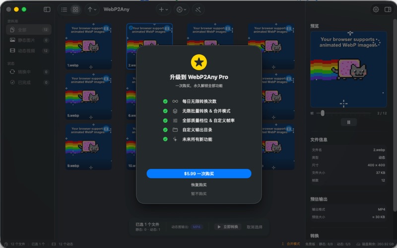 WebP2Any screenshot