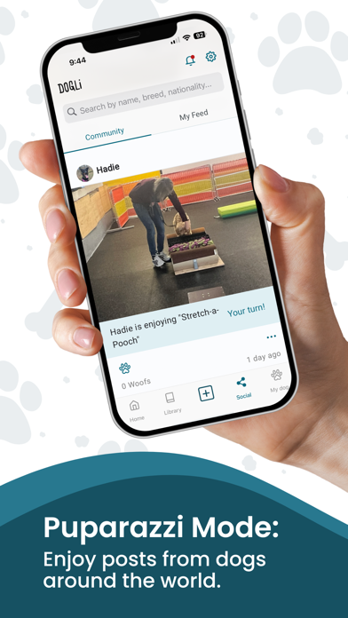 DOGLi - Dog Enrichment & Games Screenshot