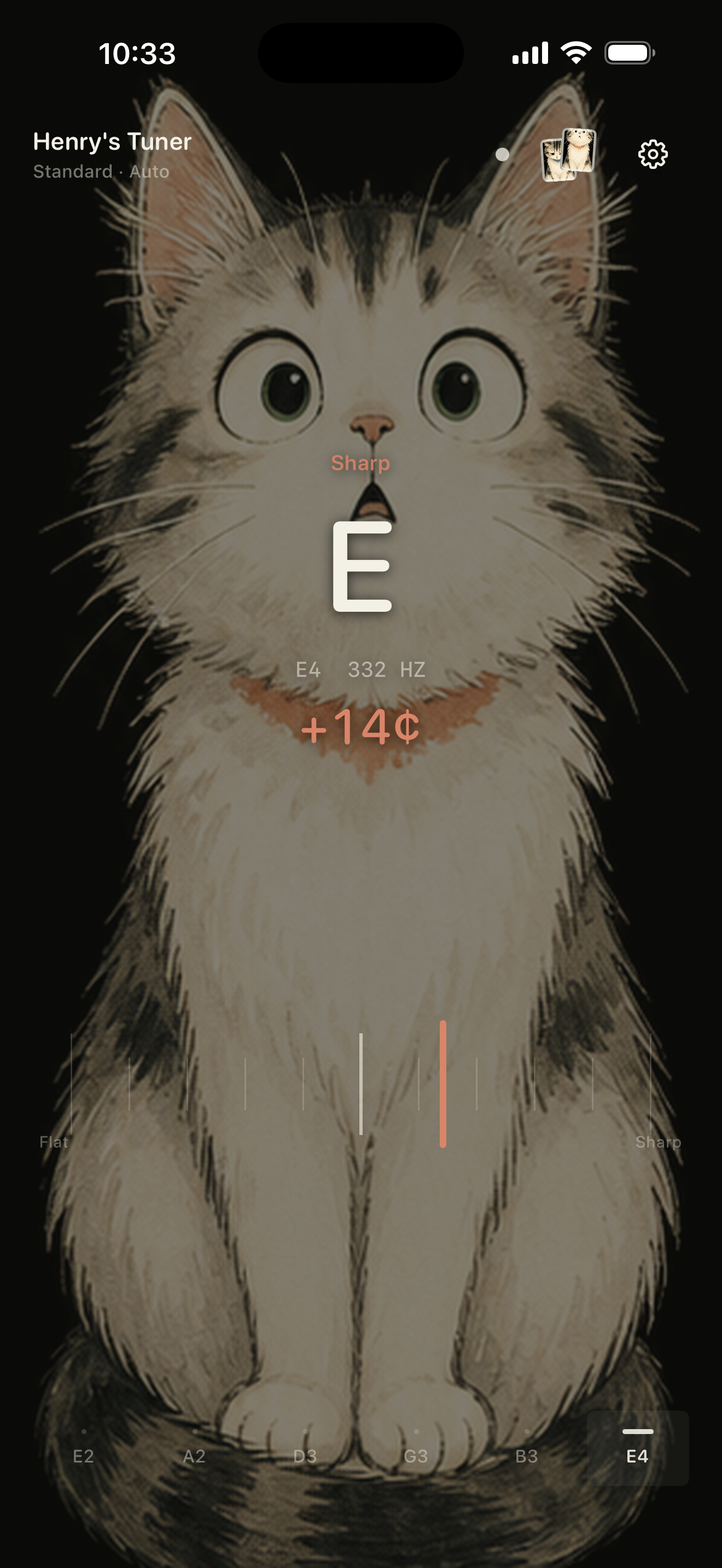 Henry's Tuner screenshot 7