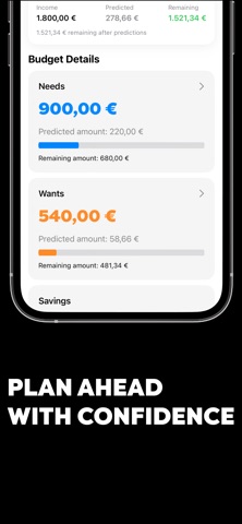 Sentinel - Budget Planner Screenshot 4 of 5