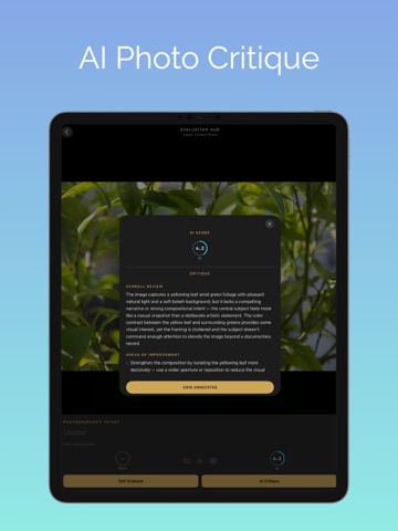 Contact Sheet: AI Photo Review iPad screenshot