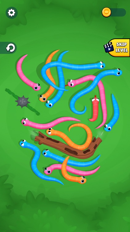 Snake Knot: Sort Puzzle Game