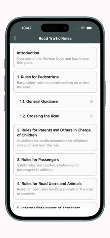 Highway Code ZM screenshot