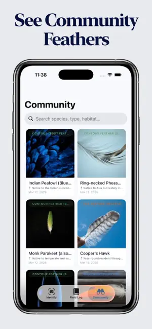Feather Identifier screenshot 3