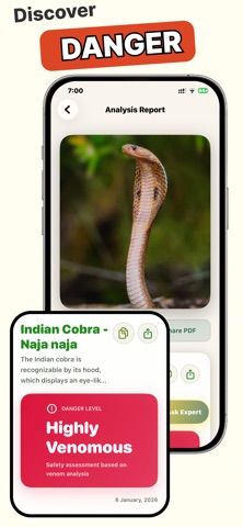 Snake Identifier: Screenshot 2 of 4