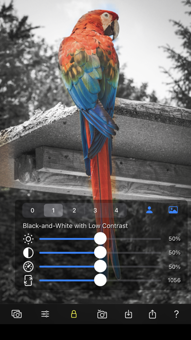 Color Focus Lens Screenshot