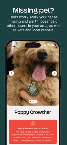 Supernormal Pets Screenshot 4 of 7