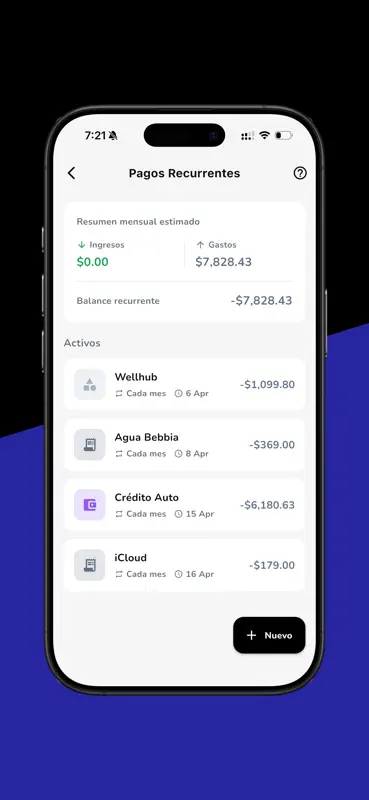 Finnwise: Control de Gastos IA screenshot 9 of 10