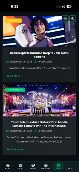 Team Falcons Screenshot 3 of 3