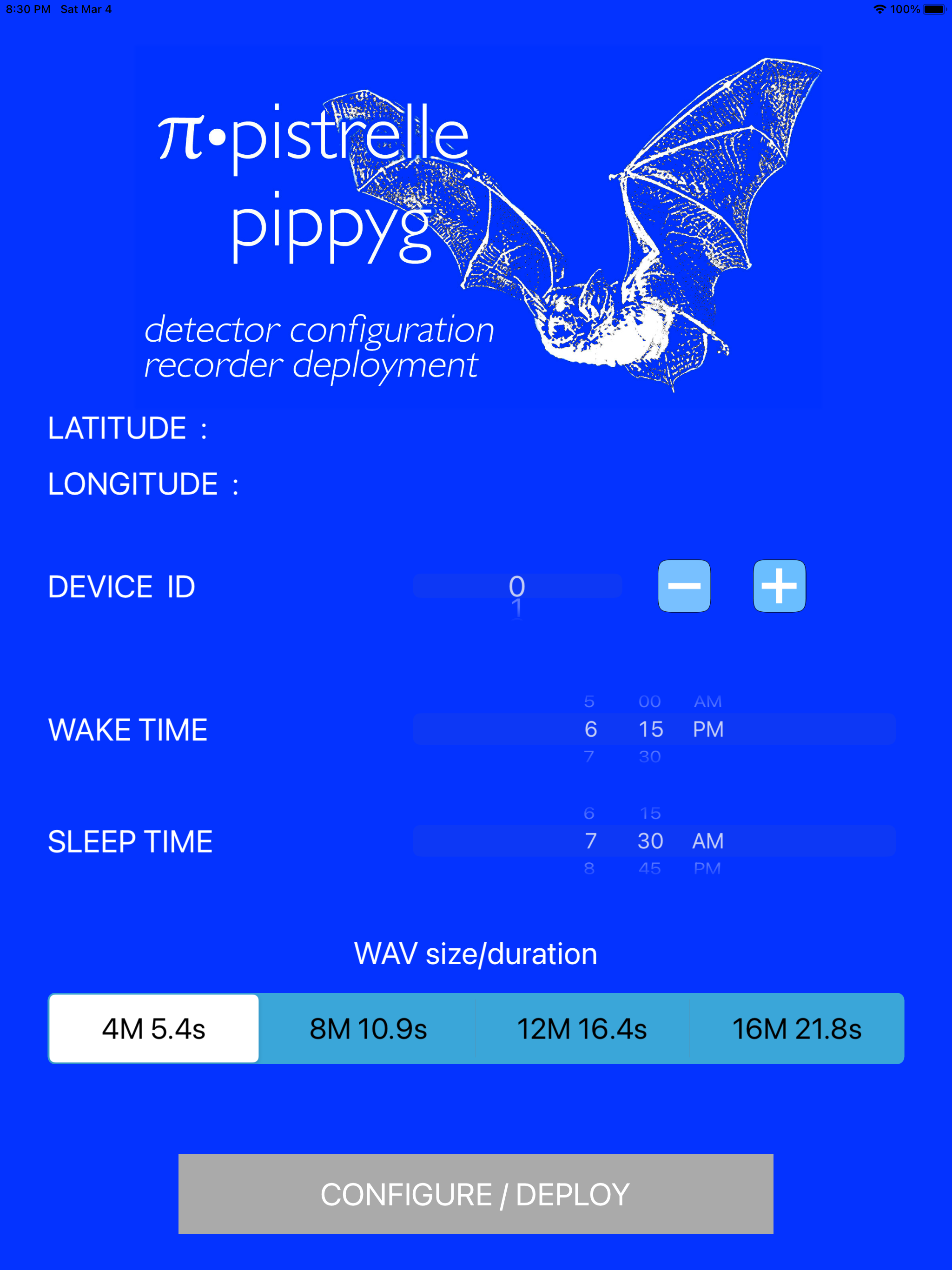 pipistrelle