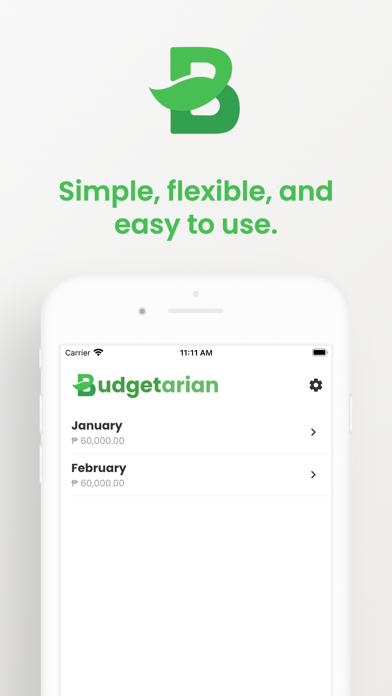 Basic Budget App Screenshot