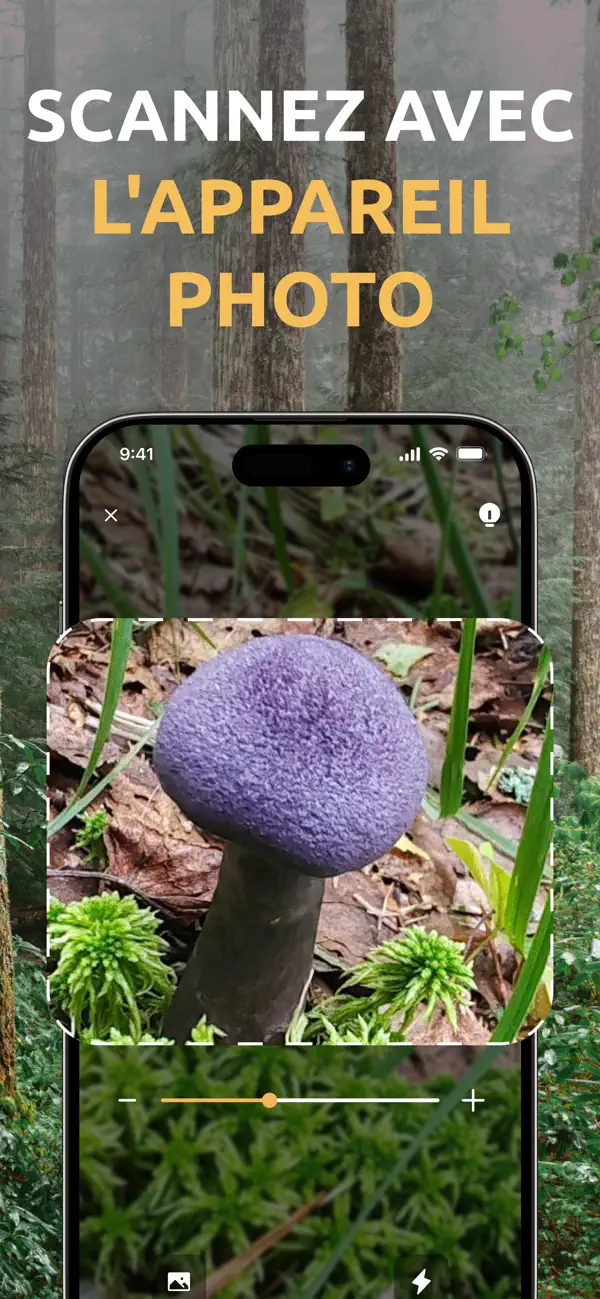 Screenshot #2 pour Champignons Identificateur ID