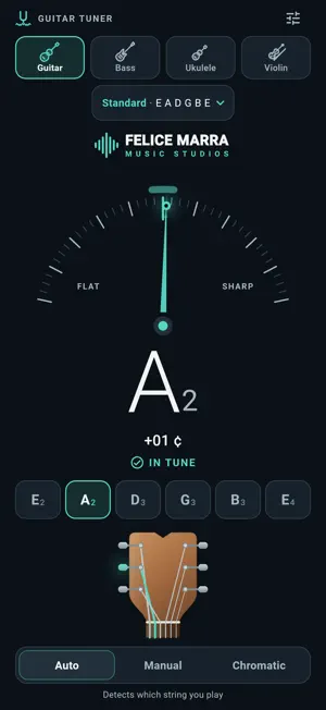 Guitar Strings Tuner screenshot 1