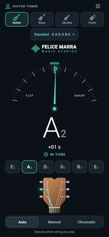 Guitar Strings Tuner Screenshot 1 of 4