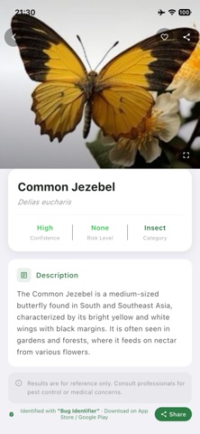 Bug Identifier-Insect id app a Screenshot 3 of 4