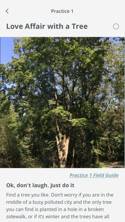 Photography as Prayer screenshot-3