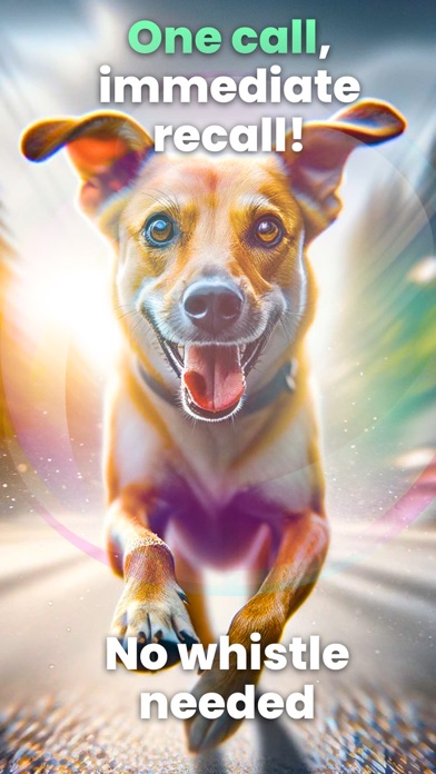 Train your Dog - Dognito Screenshot