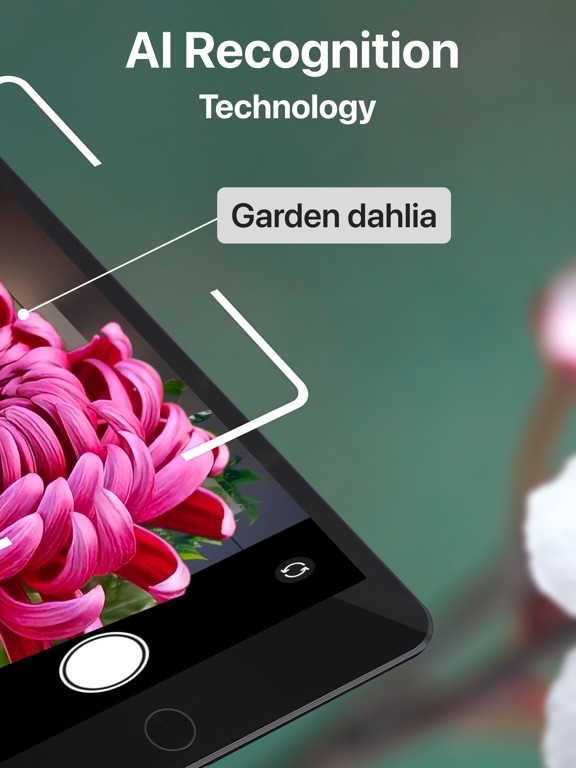 AI Plant Identifier Care Tips iPad screenshot 2 - Education app